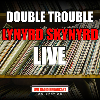 Lynyrd Skynyrd - Double Trouble (Live)
