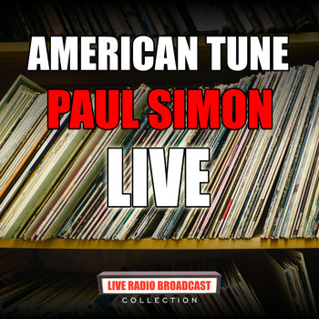 Paul Simon - American Tune (Live)