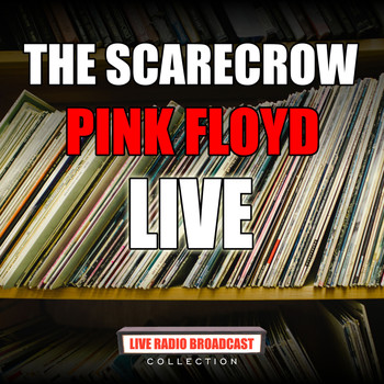 Pink Floyd - The Scarecrow (Live)