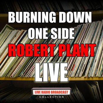 Robert Plant - Burning Down One Side (Live)