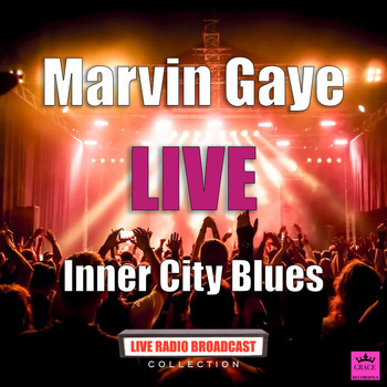Marvin Gaye - Inner City Blues (Live)