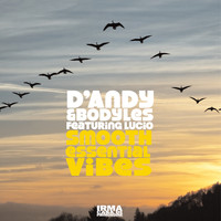 D'Andy and Bodyles - Smooth Essential Vibes