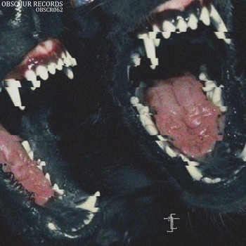 Aahan - Northern Cuts