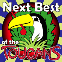 Toucans Steel Drum Band - Next Best of the Toucans