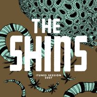 The Shins - Session (2007)
