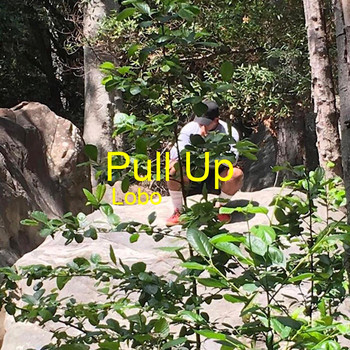 Lobo - Pull Up (Explicit)