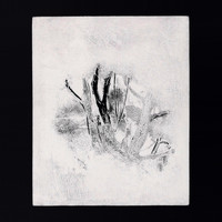 Infant Island - Collections 1