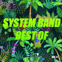 System Band - Best of system band (Vol.4)