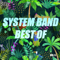 System Band - Best of system band (Vol.5)