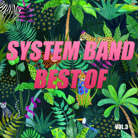 System Band - Best of system band (Vol.3)
