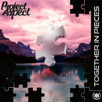 Project Aspect - Together In Pieces