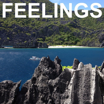 Various Artists - Feelings