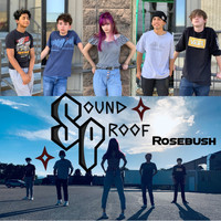 Soundproof - Rosebush