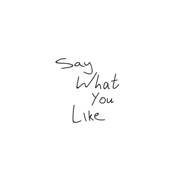 The Flock - Say What You Like