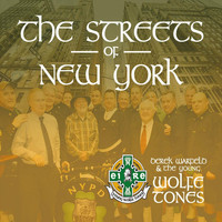 Derek Warfield & The Young Wolfe Tones - The Streets of New York