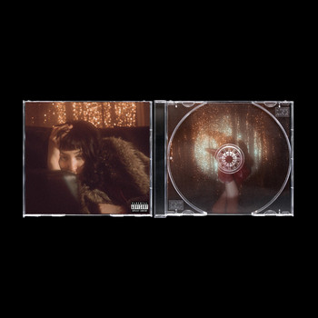 Alabama - The Birds, the Bees, and My Boyfriends (Explicit)