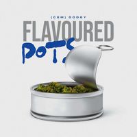 Dodgy - Flavoured Pots (Explicit)