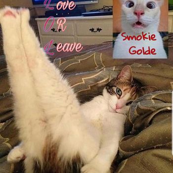 Smokie Golde featuring Smoke The Saboteur - love or leave
