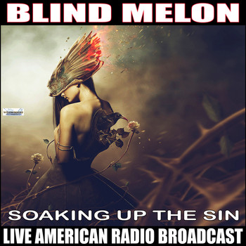 Blind Melon - Soaking Up the Sun (Live)