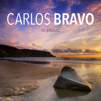 Carlos Bravo - La playa