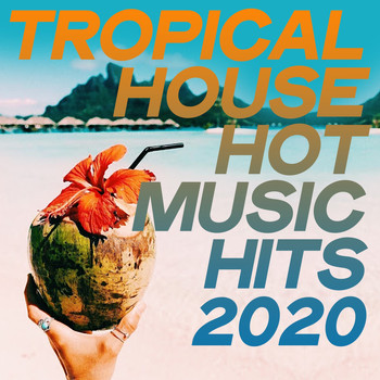 Various Artists - Tropical House Hot Music Hits 2020