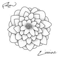 Follow - Zinnias