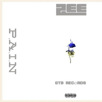 Zee - P.A.I.N (Explicit)