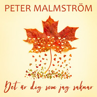 Peter Malmström - Det är dig som jag saknar