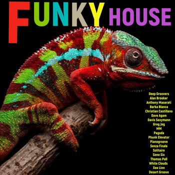 Various Artists - Funky House