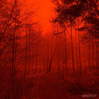 Mindpop - II