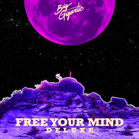 Big Gigantic - Free Your Mind (Deluxe Version) (Explicit)