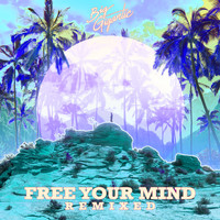 Big Gigantic - Free Your Mind Remixed