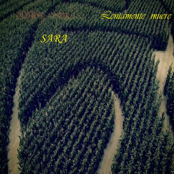 Sara - Lentamente Muere