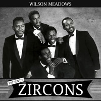 Wilson Meadows - Presents The Zircons