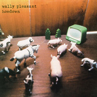 Wally Pleasant - Hoedown