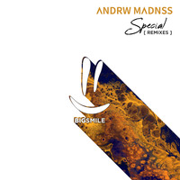 ANDRW MADNSS - Special (Remixes)