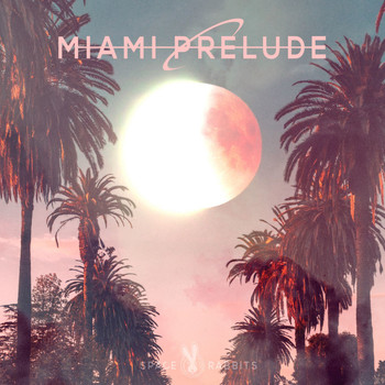 Various Artist - Miami Prelude