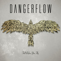 Dangerflow - Fall Before You Fly