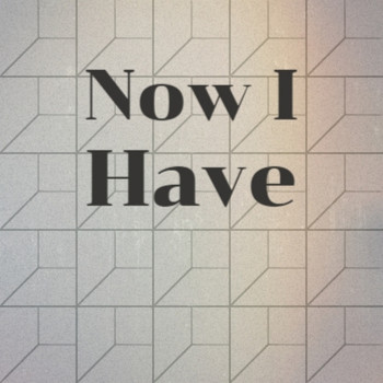 Various Artist - Now I Have