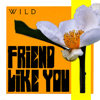Wild - Friend Like You