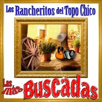 Los Rancheritos Del TopoChico - Las más Busacadas, Los Rancheritos del Topochico