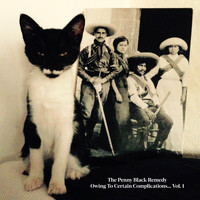 The Penny Black Remedy - Owing to Certain Complications..., Vol. 1