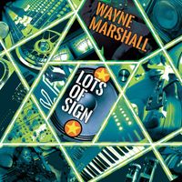 Wayne Marshall - Lots Of Sign