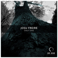 Josu Freire - Only One