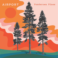Airport - Ponderosa Pines