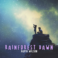 David Wilson - Rainforest Dawn