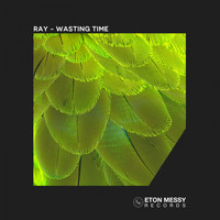 Ray - Wasting Time