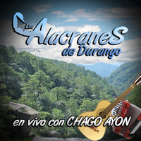 Los Alacranes De Durango - En Vivo Con Chago Ayon