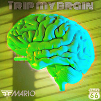 The Mario - Trip My Brain