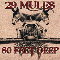 29 Mules - 80 Feet Deep